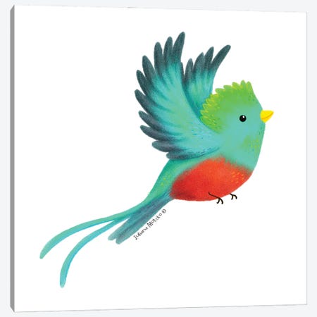Quetzal Bird Canvas Print #JMK120} by Juliana Motzko Canvas Art
