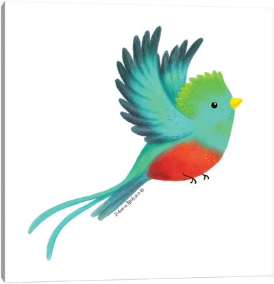 Quetzal Bird Canvas Art Print - Juliana Motzko