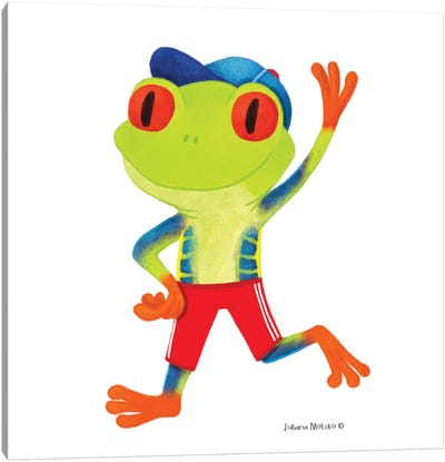 Red Eyed Tree Frog Canvas Art Print - Juliana Motzko