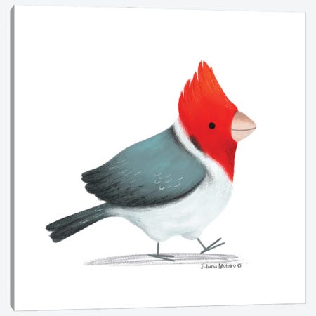 Red Crested Cardinal Bird Canvas Print #JMK122} by Juliana Motzko Canvas Art