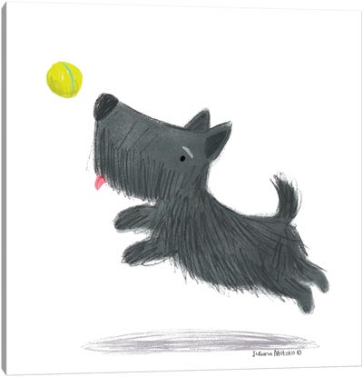 Scottish Terrier Dog Playing With A Ball Canvas Art Print - Scottish Terriers