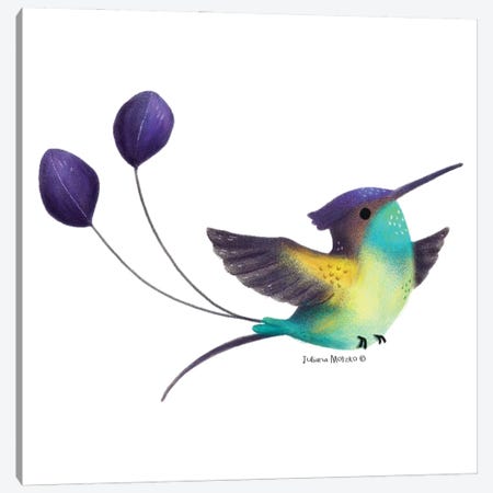 Spatuletail Hummingbird Canvas Print #JMK133} by Juliana Motzko Canvas Print