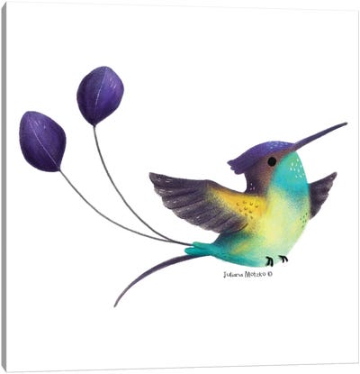 Spatuletail Hummingbird Canvas Art Print - Juliana Motzko