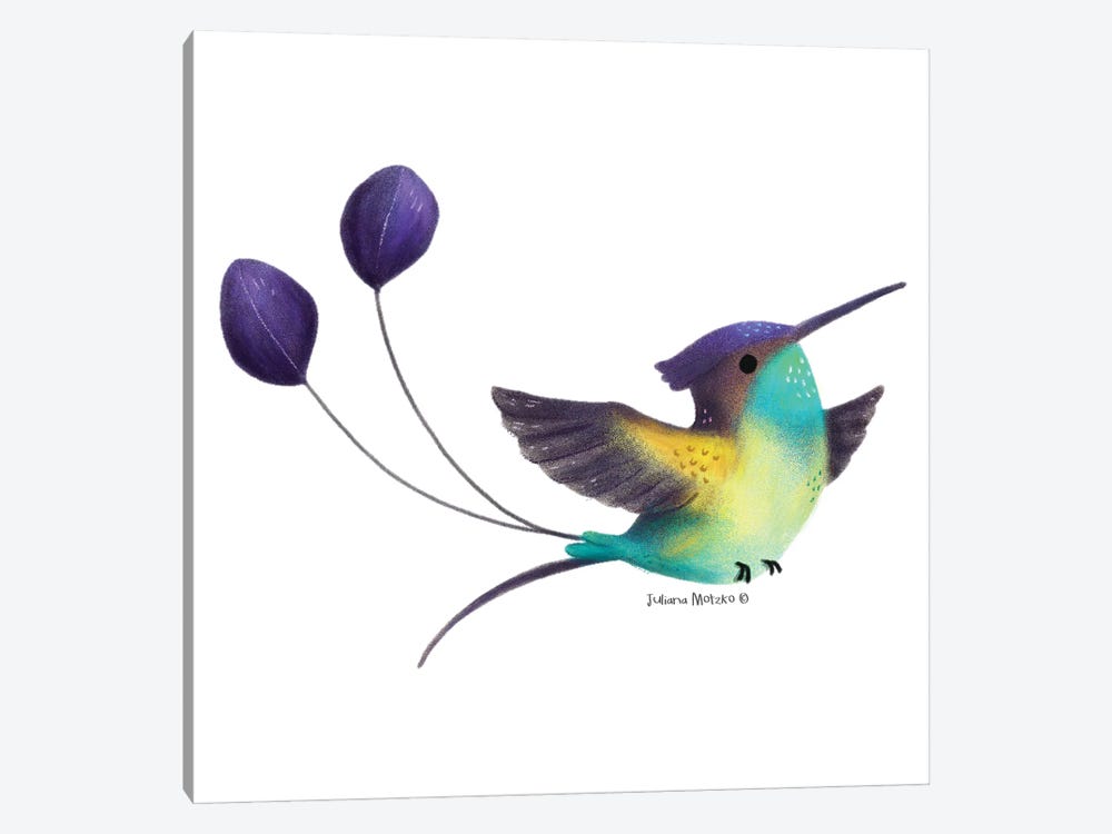 Spatuletail Hummingbird by Juliana Motzko 1-piece Canvas Print