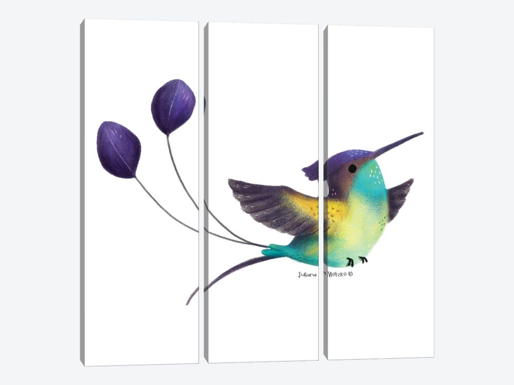 Spatuletail Hummingbird by Juliana Motzko 3-piece Canvas Art Print