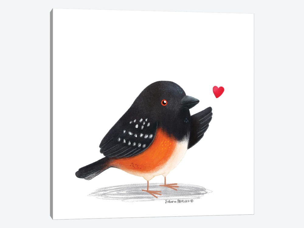 Towhee Bird And Heart by Juliana Motzko 1-piece Art Print