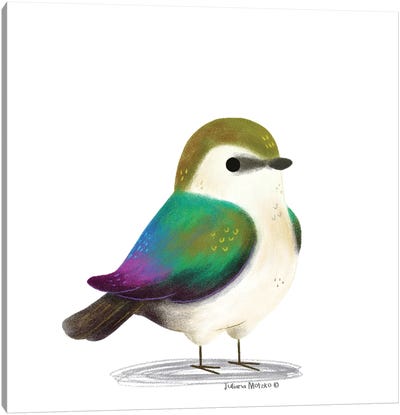 Violet Green Swallow Bird Canvas Art Print - Juliana Motzko