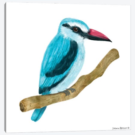 Woodland Kingfisher Canvas Print #JMK160} by Juliana Motzko Canvas Wall Art