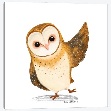 Barn Owl Saying Hello Canvas Print #JMK167} by Juliana Motzko Art Print