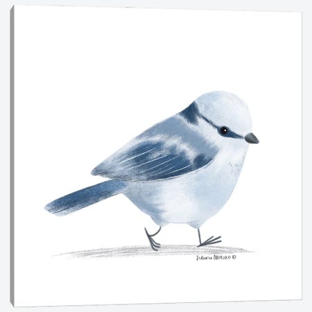 Azure Tit Bird Canvas Print #JMK169} by Juliana Motzko Canvas Artwork