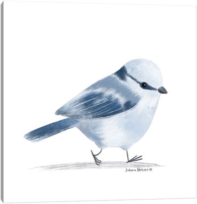 Azure Tit Bird Canvas Art Print - Juliana Motzko