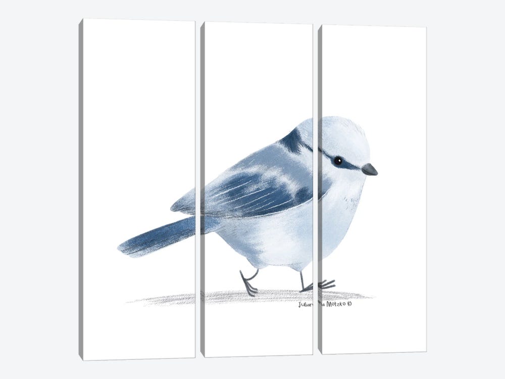 Azure Tit Bird by Juliana Motzko 3-piece Canvas Wall Art