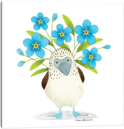 Blue Footed Booby With Forget Me Not Flowers Canvas Art Print - Juliana Motzko
