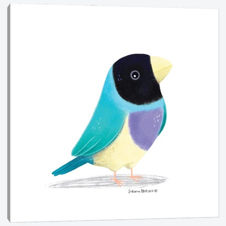 Blue Gouldian Finch Bird Canvas Print #JMK176} by Juliana Motzko Canvas Art