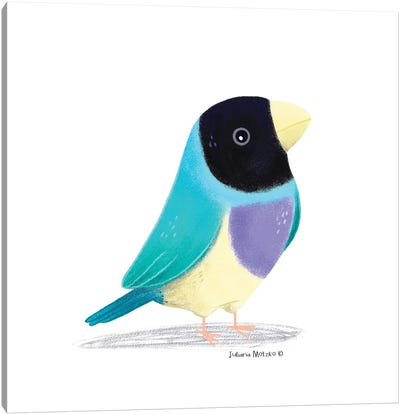 Blue Gouldian Finch Bird Canvas Art Print - Juliana Motzko