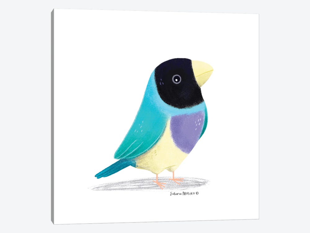 Blue Gouldian Finch Bird by Juliana Motzko 1-piece Canvas Art