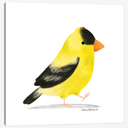 American Goldfinch Bird Canvas Print #JMK178} by Juliana Motzko Art Print