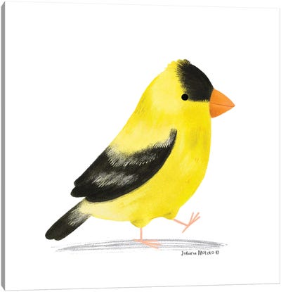 American Goldfinch Bird Canvas Art Print - Juliana Motzko