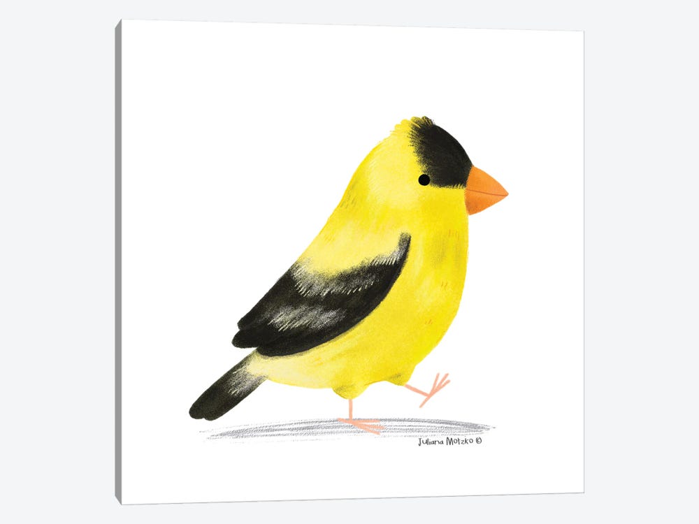 American Goldfinch Bird by Juliana Motzko 1-piece Canvas Art