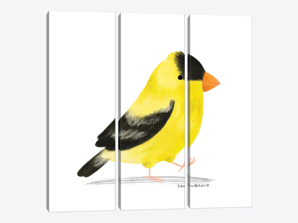 American Goldfinch Bird by Juliana Motzko 3-piece Canvas Art