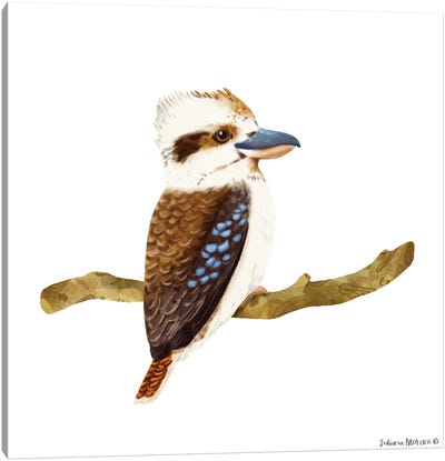 Kookaburra Bird Canvas Art Print - Kookaburras