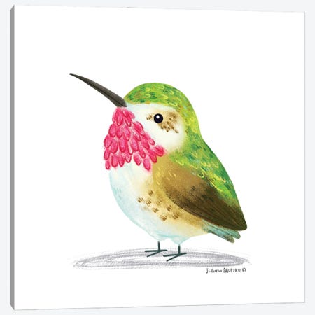 Calliope Hummingbird Canvas Print #JMK181} by Juliana Motzko Canvas Artwork