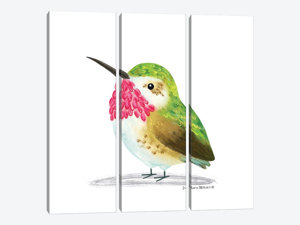 Calliope Hummingbird by Juliana Motzko 3-piece Canvas Artwork