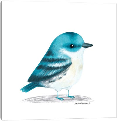 Cerulean Warbler Bird Canvas Art Print - Warbler Art
