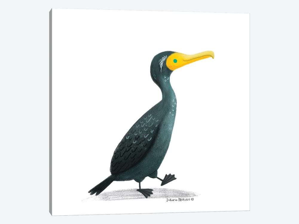 Double Crested Cormorant Bird by Juliana Motzko 1-piece Canvas Art Print