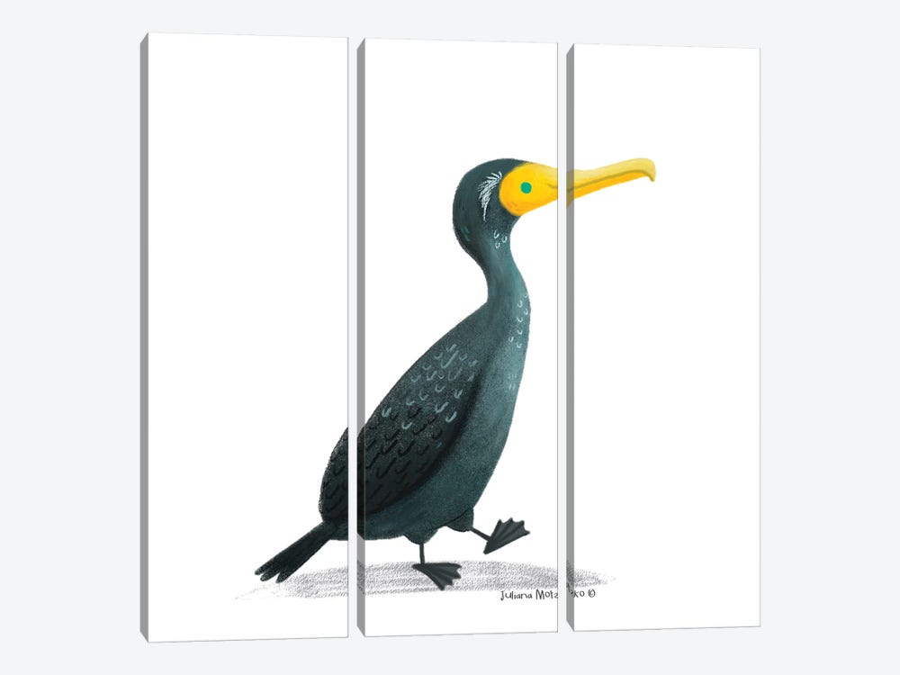 Double Crested Cormorant Bird by Juliana Motzko 3-piece Canvas Print