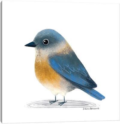 Eastern Bluebird Canvas Art Print - Juliana Motzko