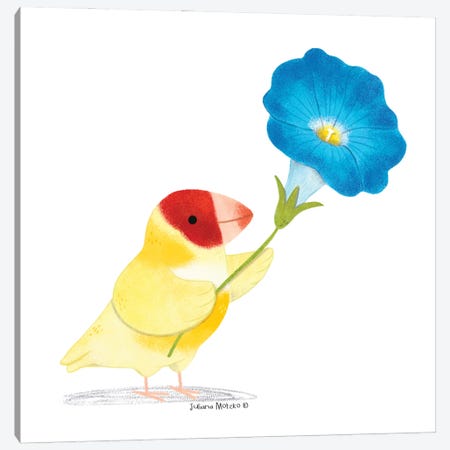 Finch Bird And Morning Glory Flower Canvas Print #JMK188} by Juliana Motzko Canvas Art