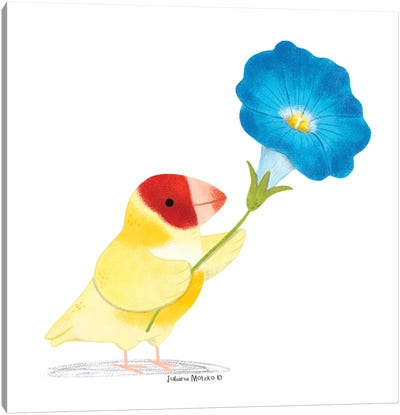 Finch Bird And Morning Glory Flower Canvas Art Print