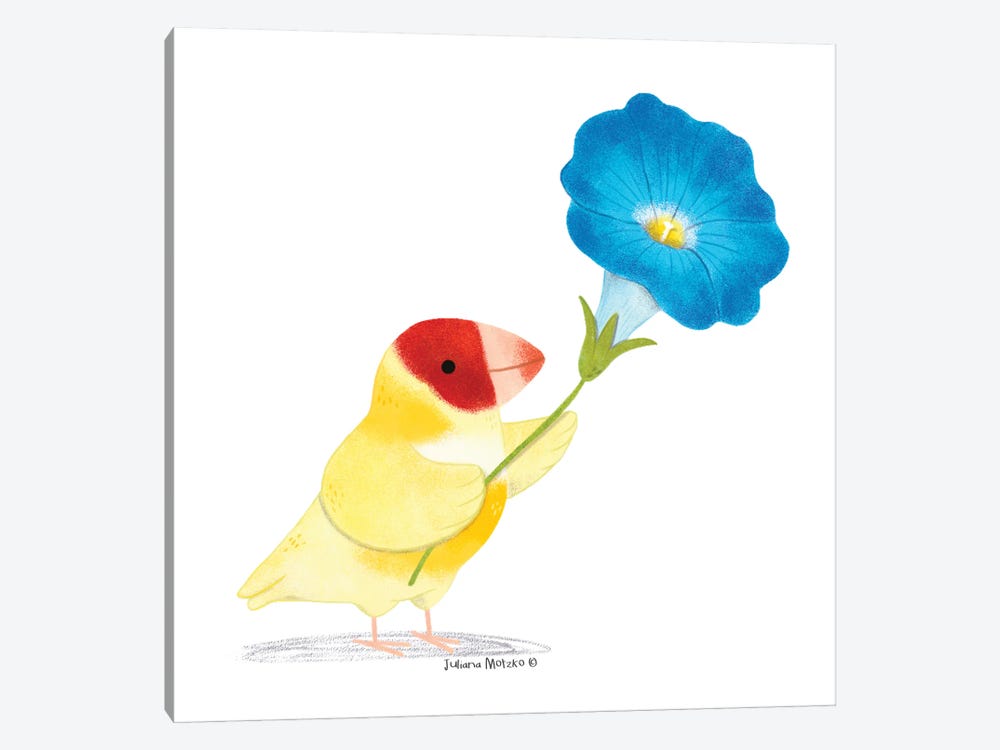 Finch Bird And Morning Glory Flower by Juliana Motzko 1-piece Canvas Art Print