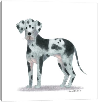 Great Dane Dog Canvas Art Print - Juliana Motzko
