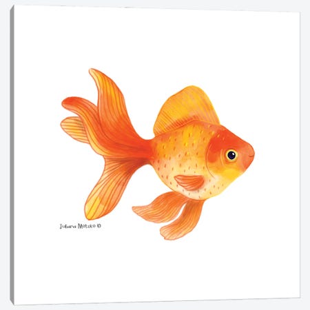 Goldfish Canvas Print #JMK198} by Juliana Motzko Art Print