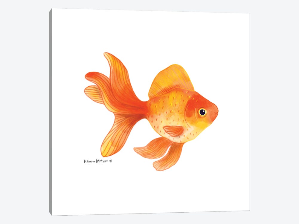 Goldfish by Juliana Motzko 1-piece Canvas Art