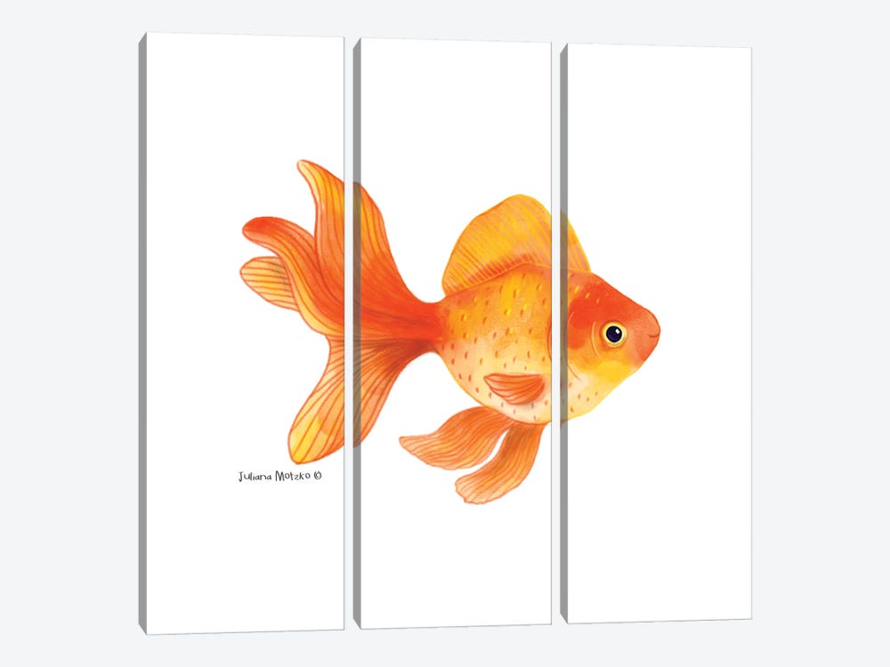 Goldfish by Juliana Motzko 3-piece Canvas Wall Art