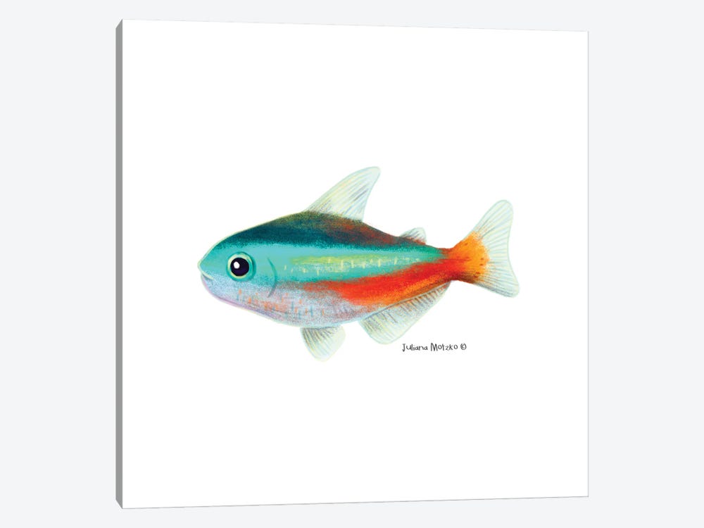 Neon Tetra Fish by Juliana Motzko 1-piece Canvas Art Print