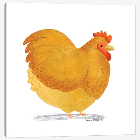 Cute Fat Chicken Canvas Print #JMK205} by Juliana Motzko Canvas Artwork