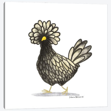 Polish Chicken Canvas Print #JMK209} by Juliana Motzko Art Print
