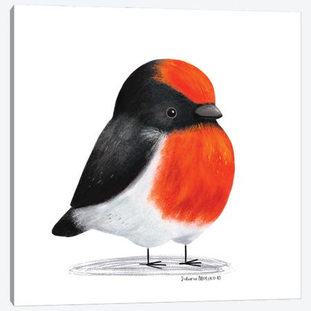 Red Capped Robin Bird Canvas Print #JMK212} by Juliana Motzko Canvas Art