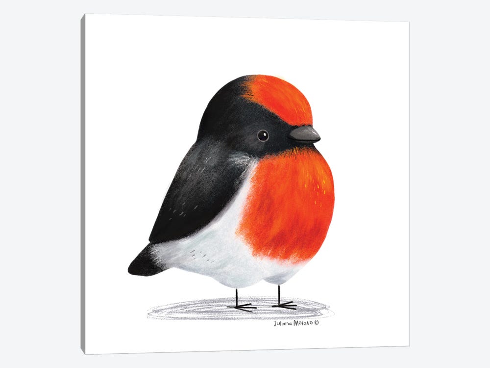 Red Capped Robin Bird by Juliana Motzko 1-piece Canvas Artwork