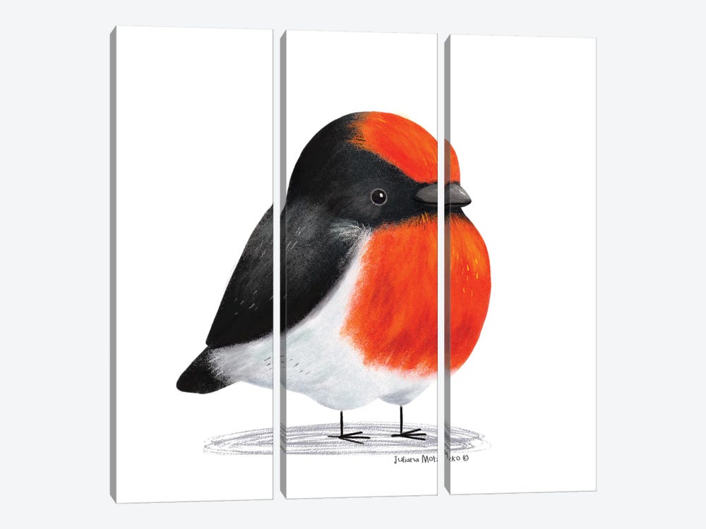 Red Capped Robin Bird by Juliana Motzko 3-piece Canvas Art
