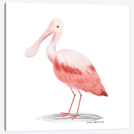 Roseate Spoonbill Bird Canvas Print #JMK213} by Juliana Motzko Canvas Wall Art
