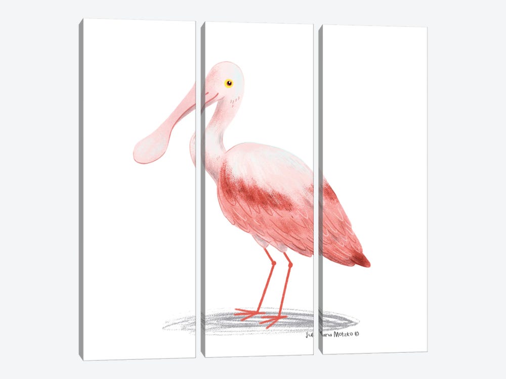Roseate Spoonbill Bird by Juliana Motzko 3-piece Canvas Print