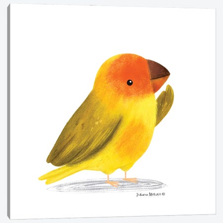 Saffron Finch Bird Canvas Print #JMK215} by Juliana Motzko Canvas Art Print