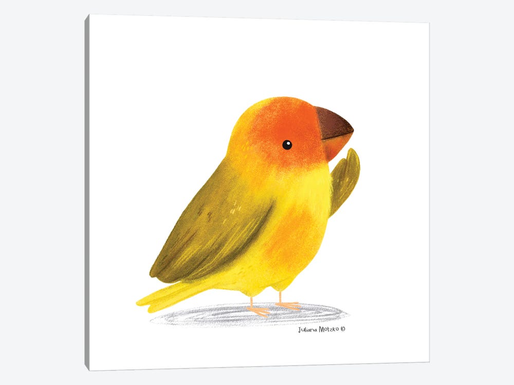 Saffron Finch Bird by Juliana Motzko 1-piece Canvas Print