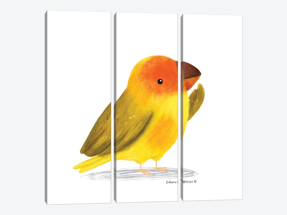 Saffron Finch Bird by Juliana Motzko 3-piece Canvas Art Print