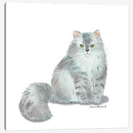 Ragamuffin Cat Canvas Print #JMK217} by Juliana Motzko Art Print